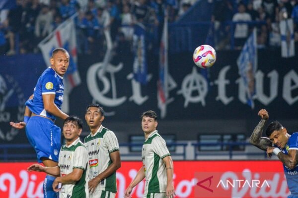 Tujuh Tim Berjuang Menghindari Zona Degradasi Liga 1 Indonesia